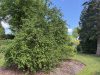 Gartenimpression-einfach mal durchatmen