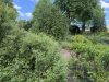 Gartenimpression-einfach mal durchatmen