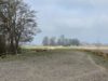 Weidefläche