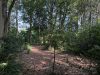 Waldspaziergang