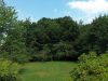 Natur Pur