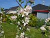 Frühling genießen