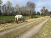 Idylle