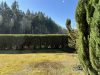 Blick zum Wald